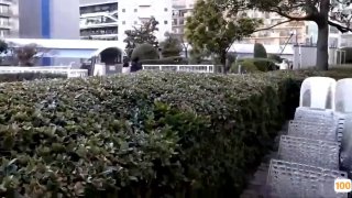 [短视频区] 触手2